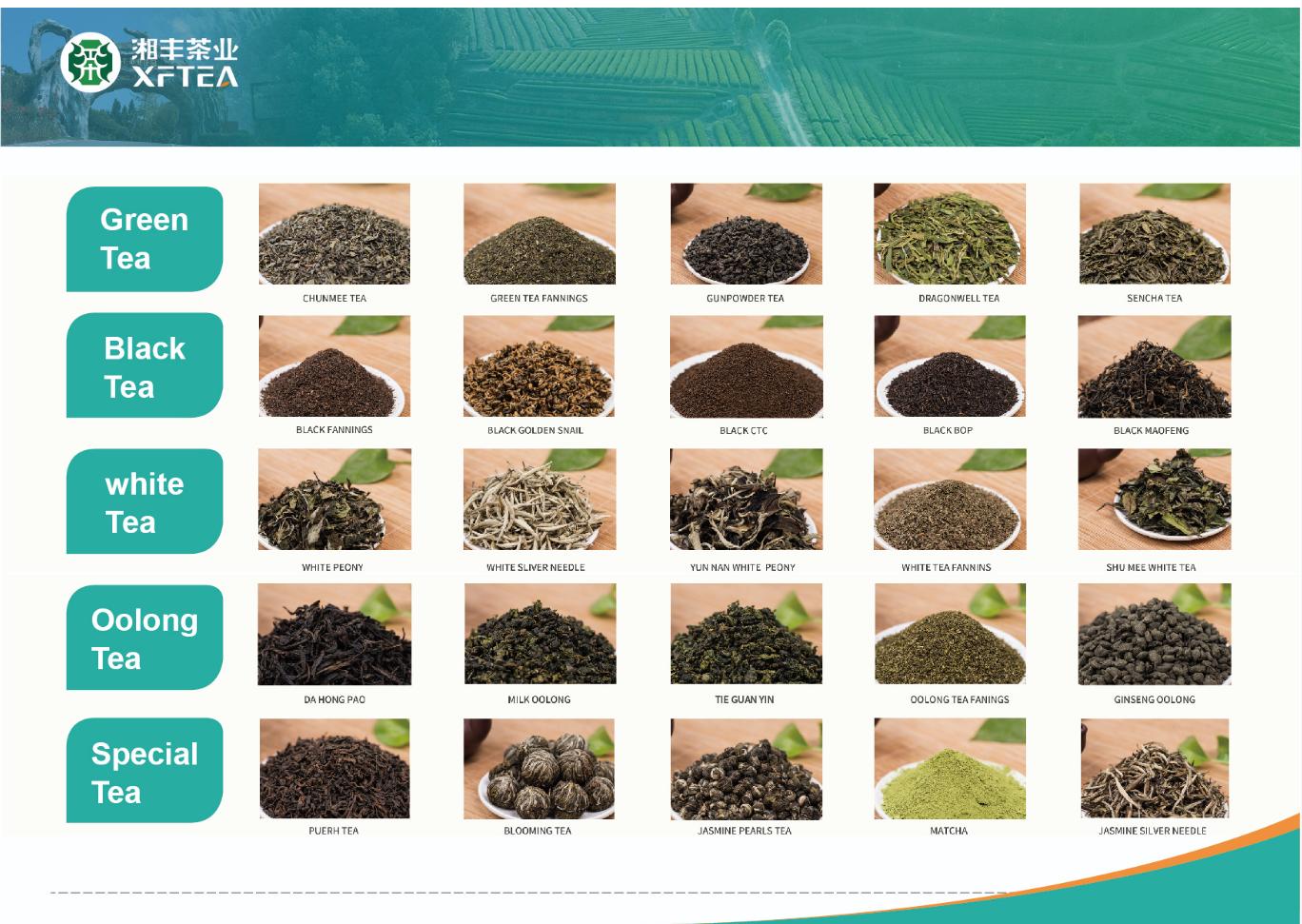 BIOFACH 2026: World´s Leading Trade Fair for Organic Food